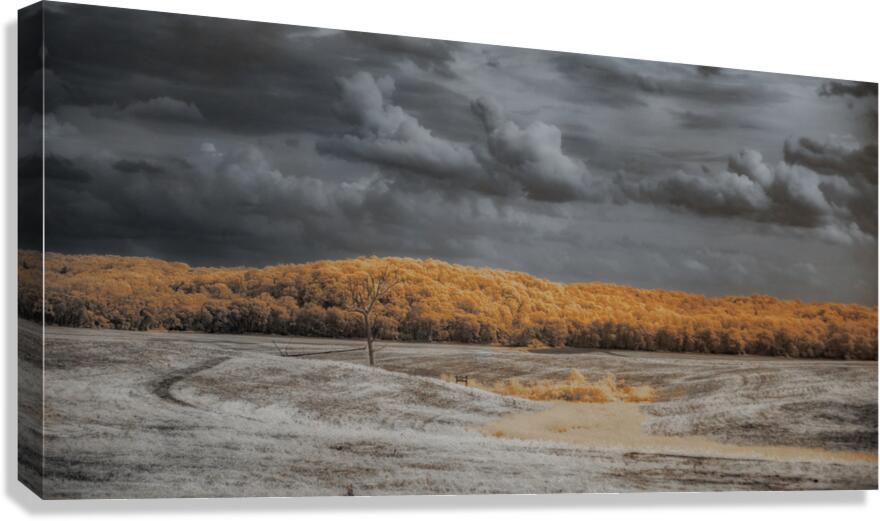Fields of Surreality Canvas Print