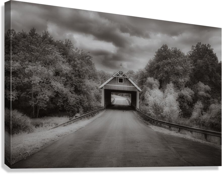 Ghostly Pathway to Serenity Canvas Print