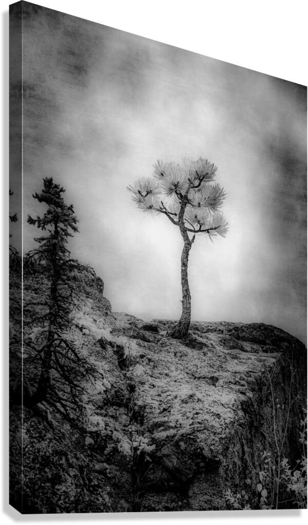 Serene Sylvan Lake: Alone on the Hill Canvas Print