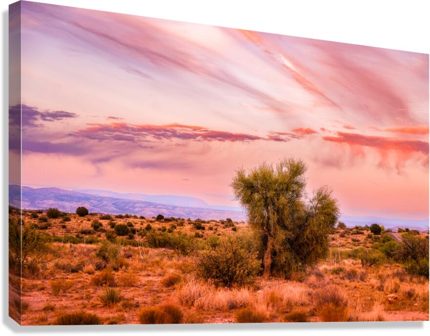 WHISPERS THROUGH THE SUNLIT CANOPY Canvas Print