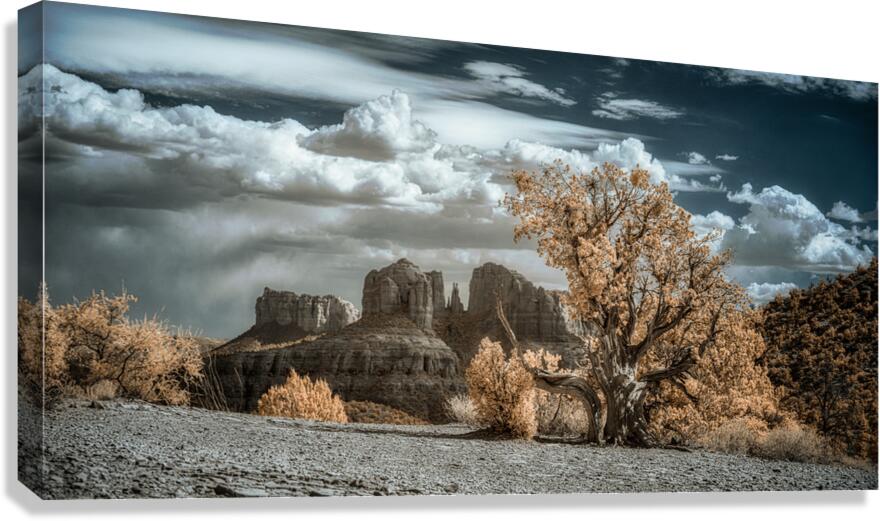Solitary Desert Dreams Canvas Print