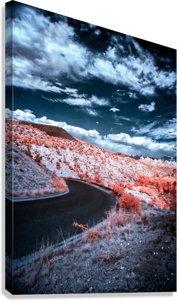 Dreamscape Pathway in Surreal Hues Canvas Print