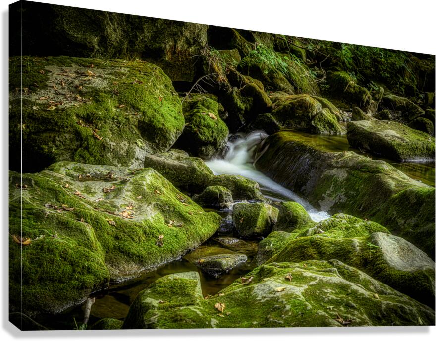 Silent Symphony of Flow Canvas Print