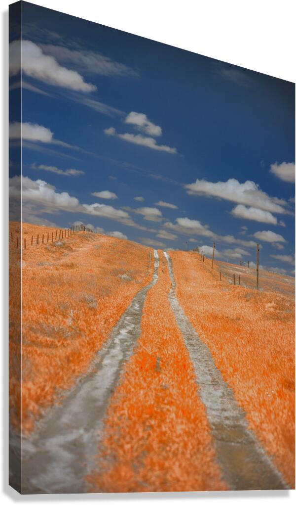 Copper Prairie Path Canvas Print
