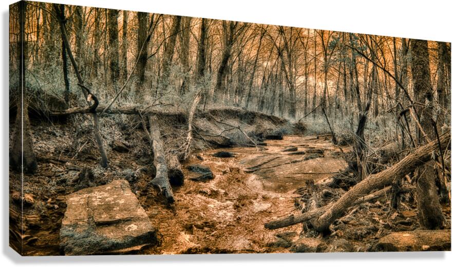 Ghostly Flow: Exploring Gettysburgs Bloody Run in Infrared Canvas Print