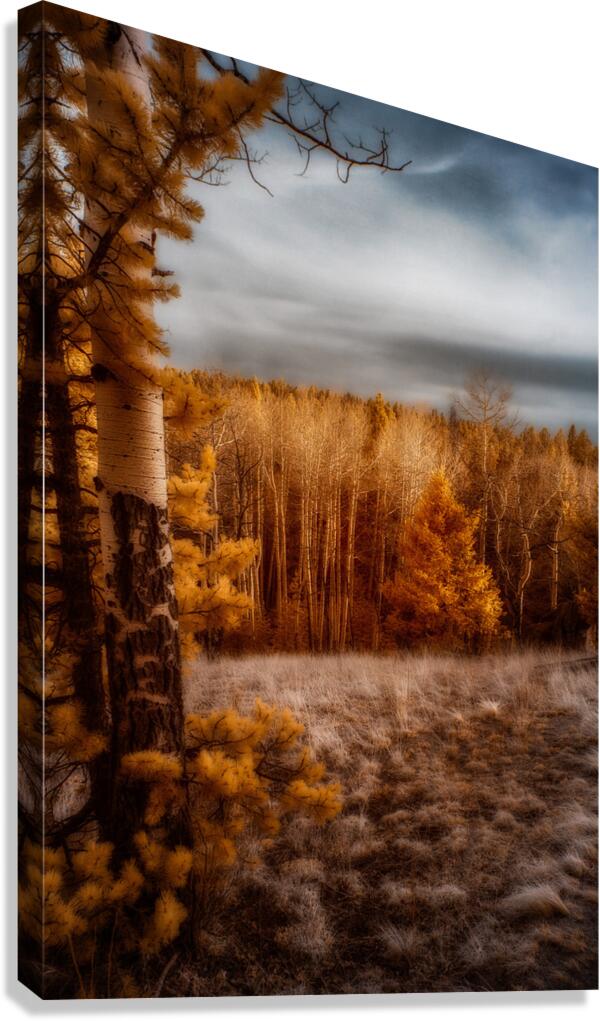 Mueller Aspen Series: Canvas Print