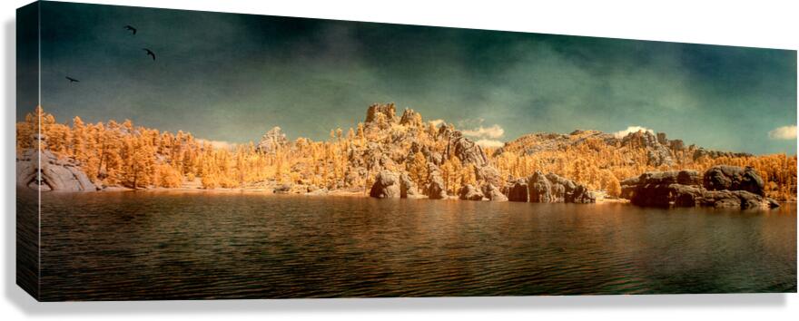 Sylvan Serenity: A Panoramic Odyssey at Custer State Park South Canvas Print