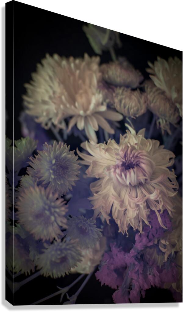 Delicate Symphony in Moody Hues Canvas Print