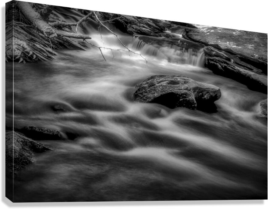 Flowing Elegance Canvas Print