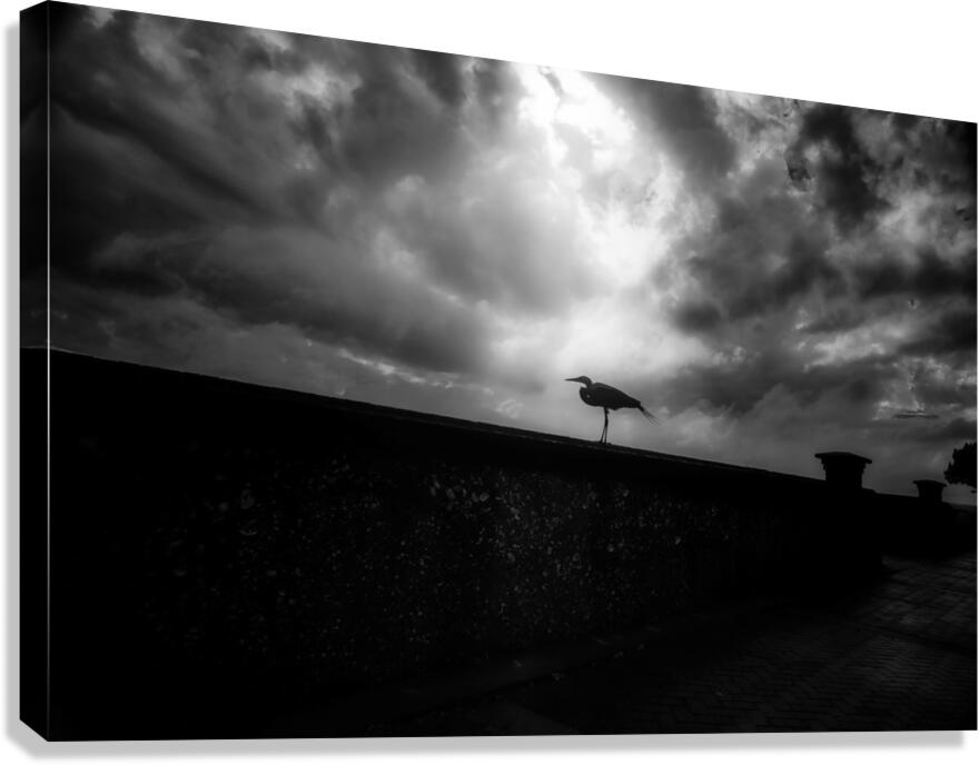 Rainy Day Stroll: Capturing Serenity with a Silhouetted Bird in  Canvas Print