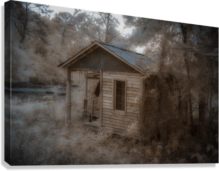 Louisiana Memories Canvas Print