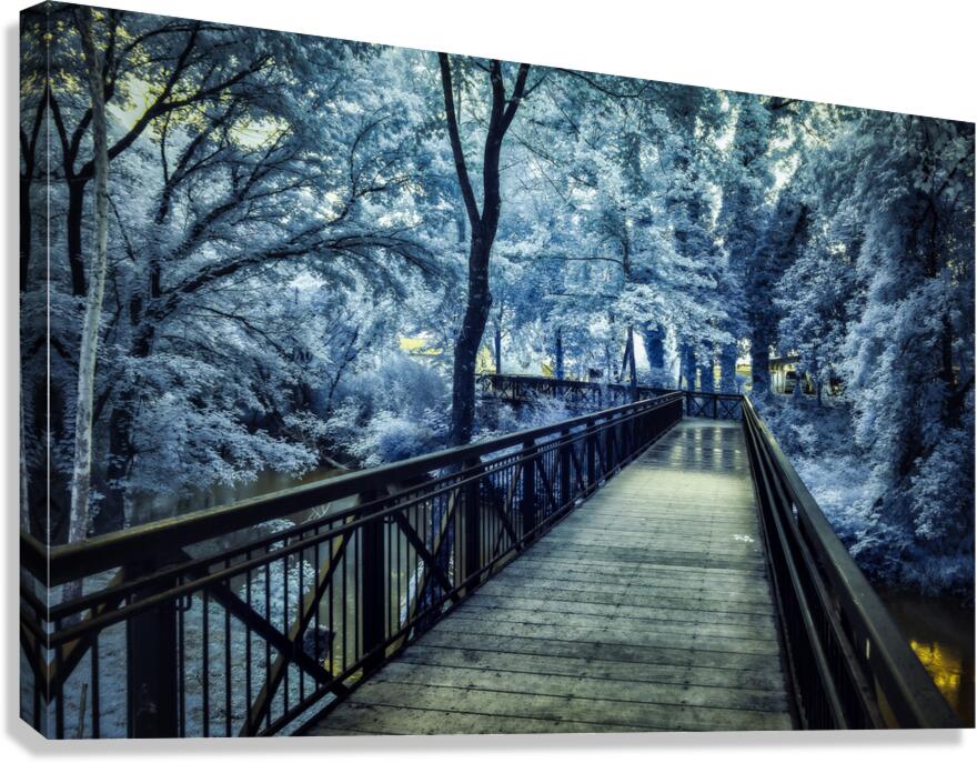 JOURNEYS THROUGH LYNCHBURG: EXPLORING JACK DANIELS AND BEYOND Canvas Print