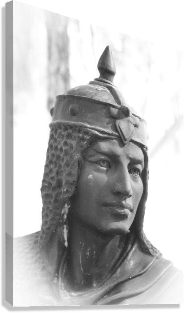 Southern Sentinel Canvas Print