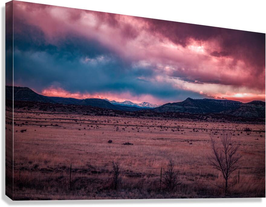 Solitary Harmony Under a Painted Sky Canvas Print