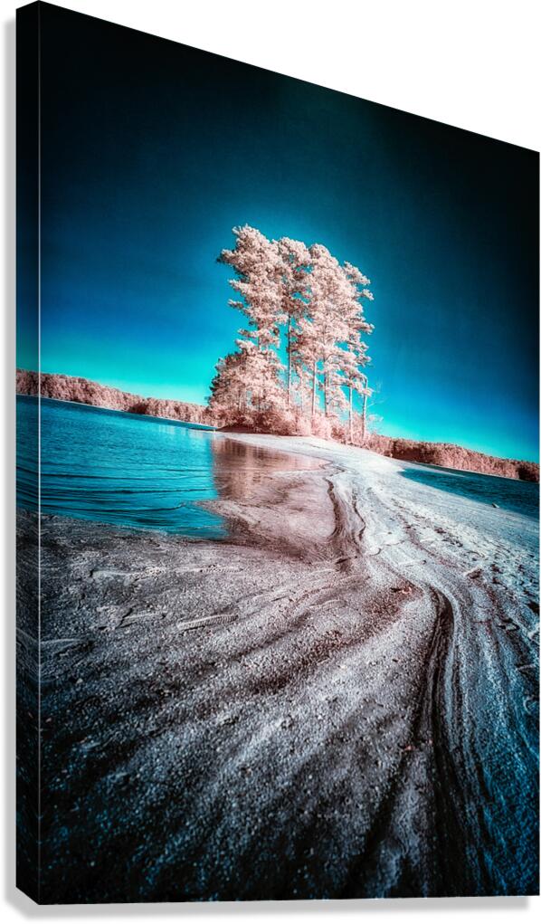 Mystical Dreamworlds: Out There in Windcreek  Canvas Print