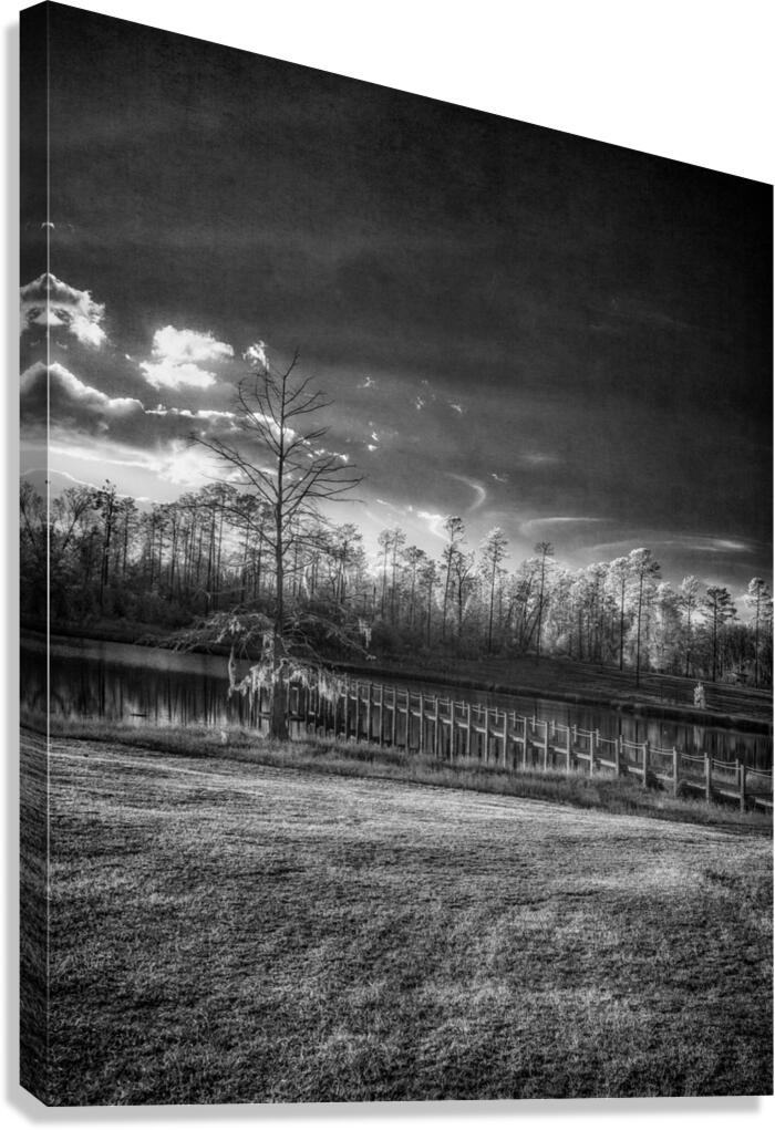 Gloomy Dock Canvas Print