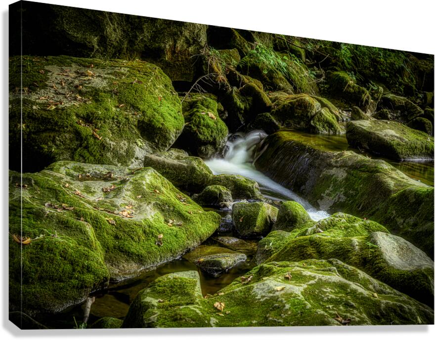 Silent Symphony of Flow Canvas Print