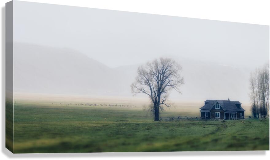 Whispers in the Mist Canvas Print