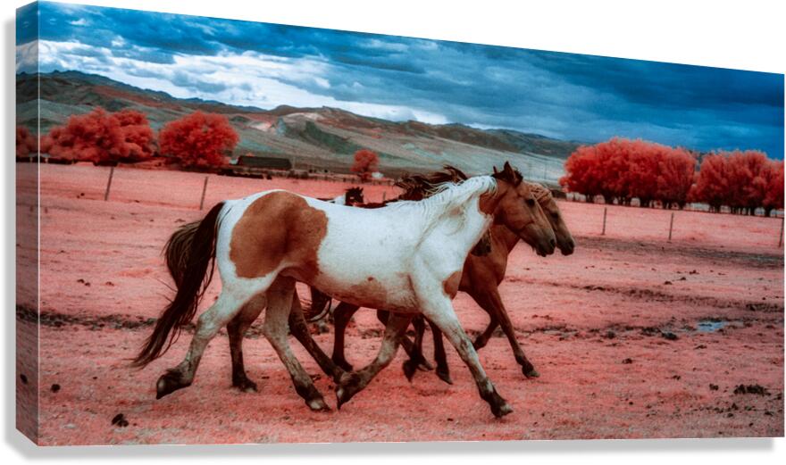 Thunders Dance   Wild Spirit Unleashed Canvas Print