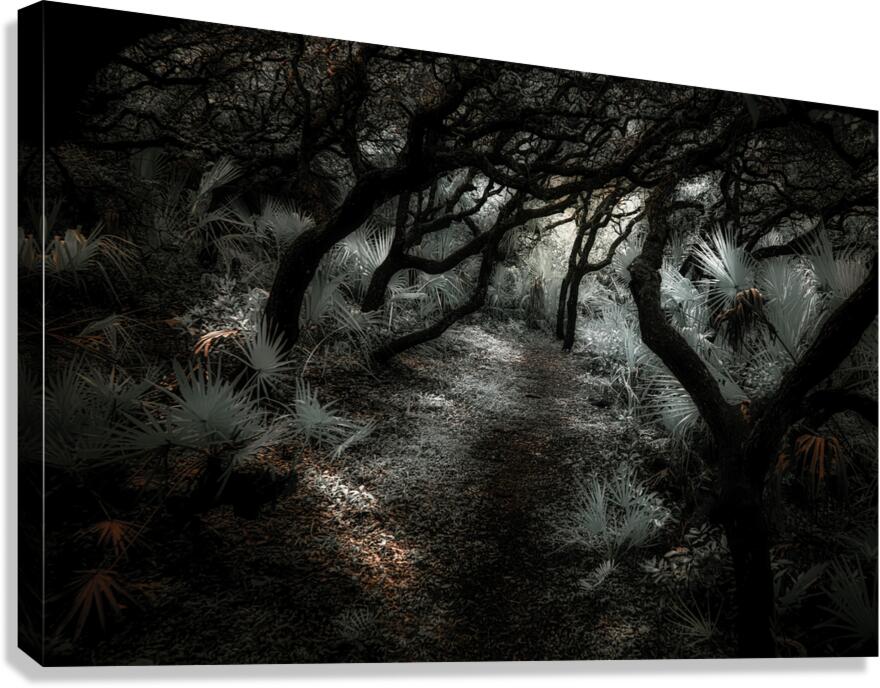 Arcadia’s Veil: The Secret Path Canvas Print
