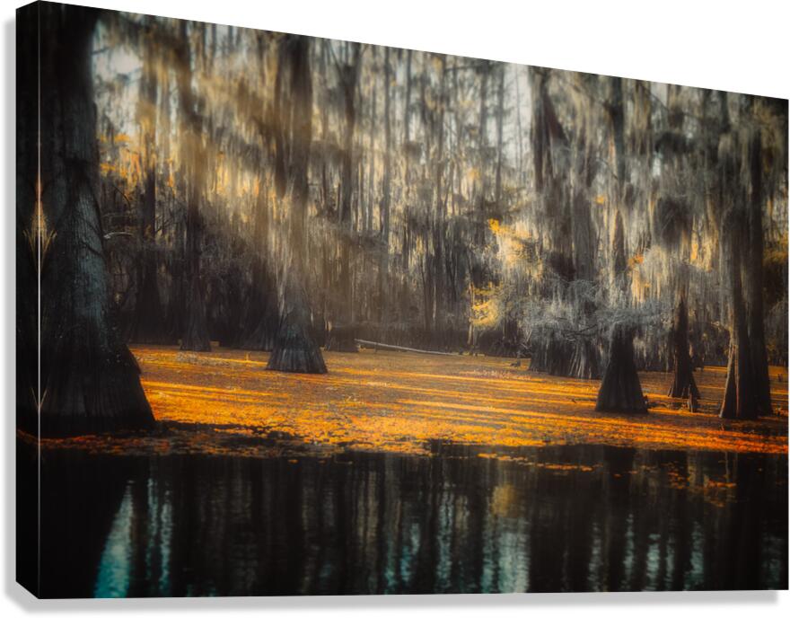 Amber Awakening Canvas Print