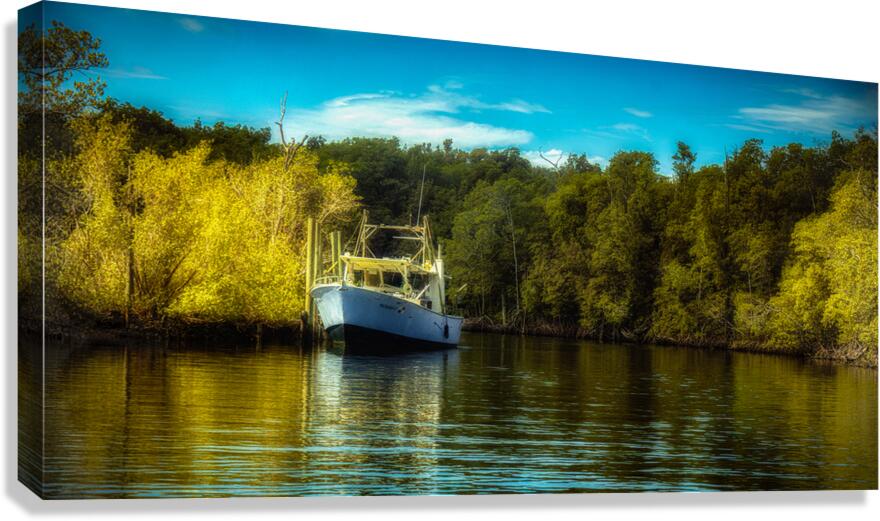 Harbor of Quiet Light Canvas Print