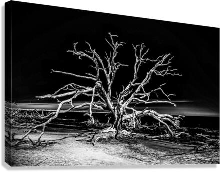 Ghost Dancer  Canvas Print