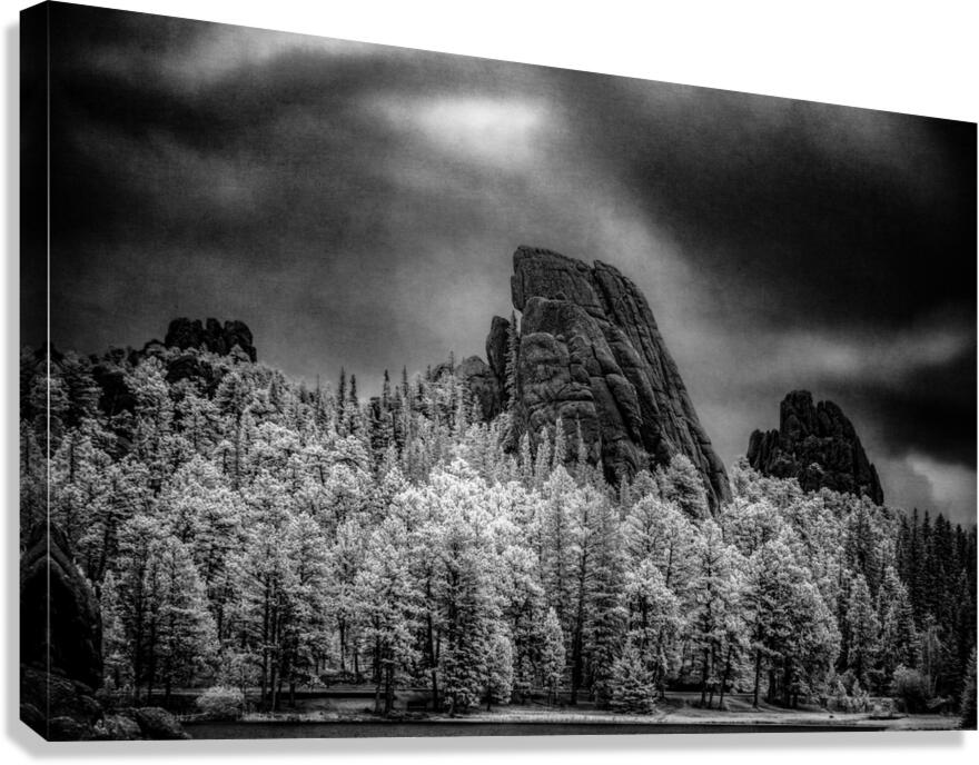 Sylvan Shadows: A Moody Encounter with Natures Drama in Custer State Park Canvas Print