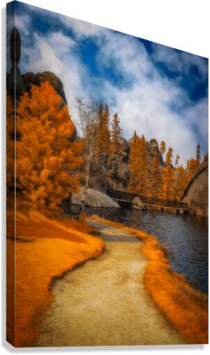  Autumnal Serenity: Sylvan Lake Path in Infrared Canvas Print