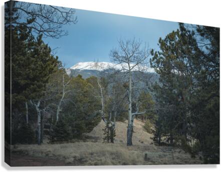 Mountain Meadow Serenity Canvas Print