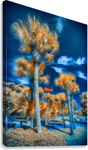 Neptune Park Oasis: A Pictorial Tale of Saint Simons Island Bliss Canvas Print