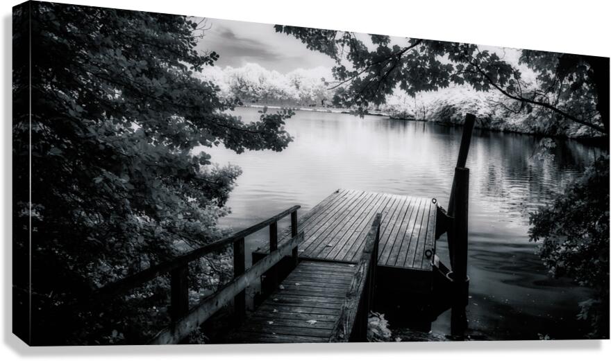 Monochrome Serenade: Abbotts Pond Delaware Canvas Print