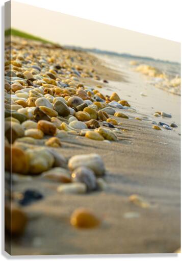Peebles by the Shore: Slaughter Beach Delaware Canvas Print