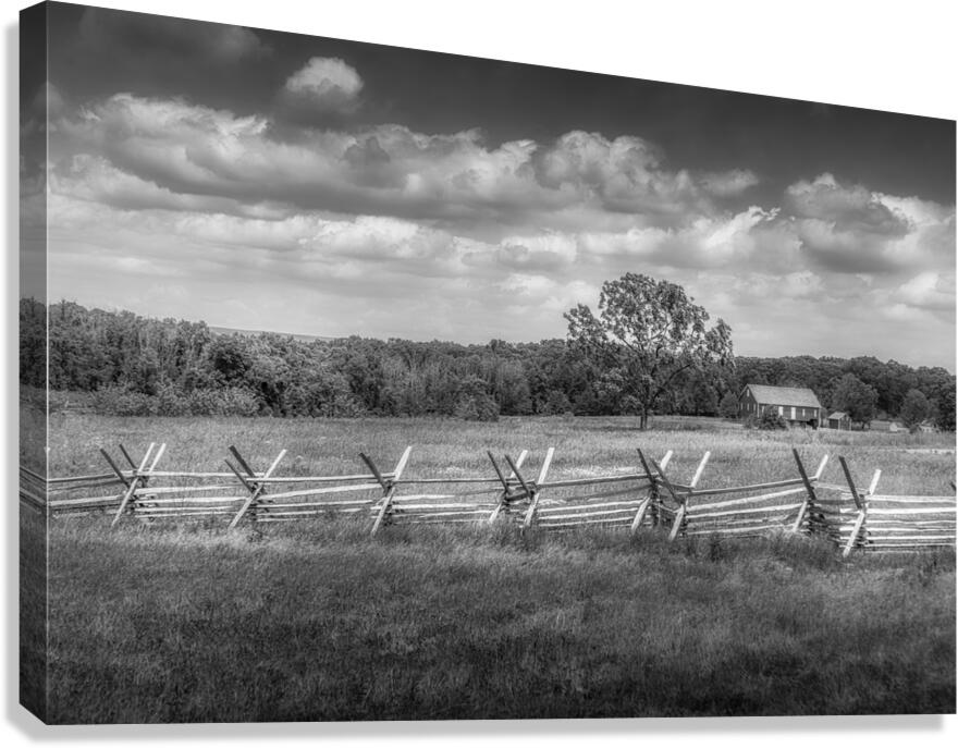 Solitude Unveiled: Whispers of the Countryside Canvas Print
