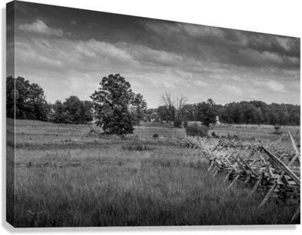 Fenceline Field Canvas Print