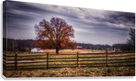 Autumns Guardian Canvas Print