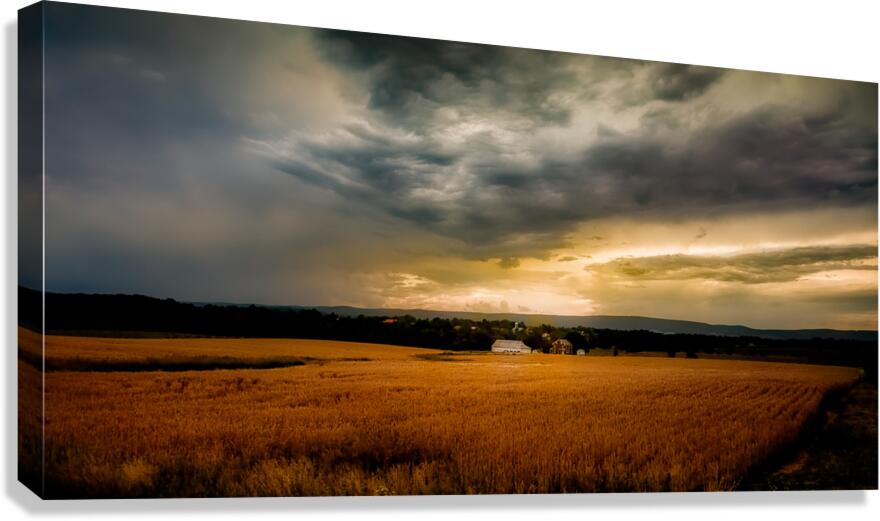 Farmland Sunset Canvas Print