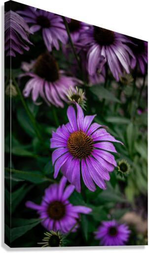 Loris Flowers - 4 Canvas Print