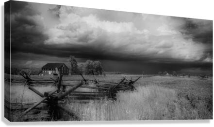 Infrared Field  Canvas Print