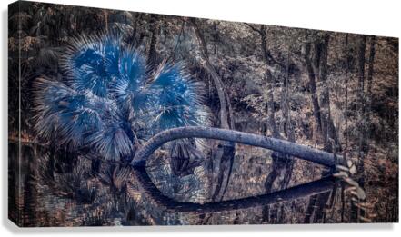 Natures Infinity Canvas Print