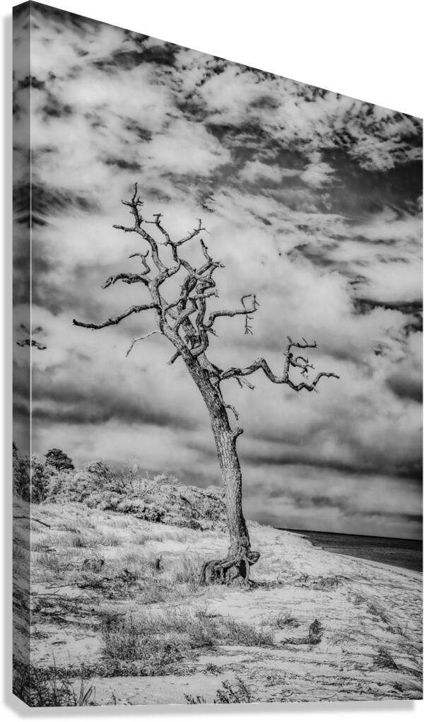 Alone and Lost Canvas Print