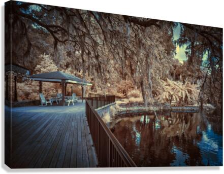 IR Boardwalk Canvas Print