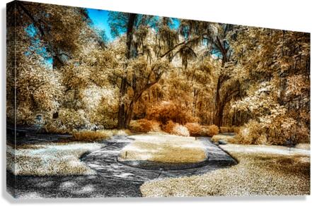 Golden Labyrinth  Canvas Print