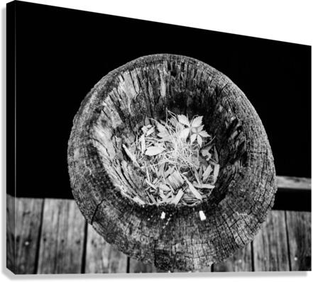 Echoes Within Wood Canvas Print