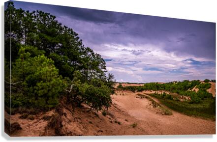 Jockey Ridge State Park Canvas Print