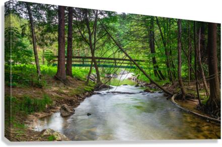Woodland Bridge Reflections Canvas Print