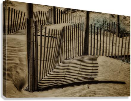 Coastal Rhythms Canvas Print