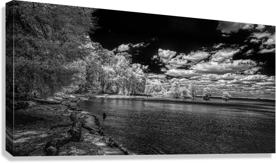 Mystical Waters: Stark Cove in Santee Canvas Print