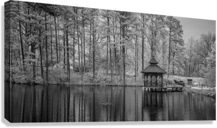 Infrared pond Gazebo Canvas Print