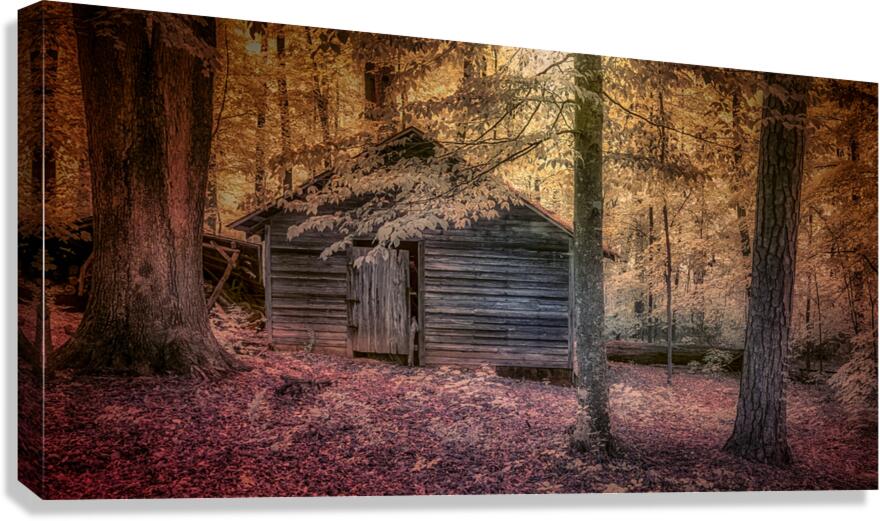 Abandoned Cabin Sanctuary Canvas Print